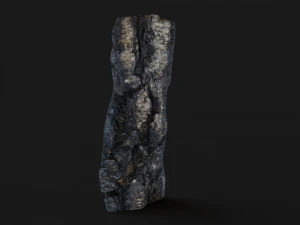 Burned wooden log 3D Model