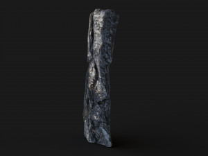 Burned wooden log 3Dモデル
