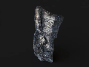 Burned wooden log 3D Model