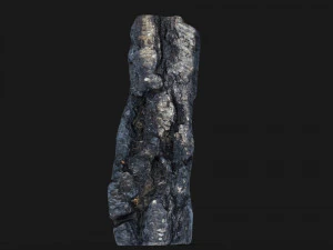 Burned wooden log 3D Model