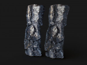 Burned wooden log 3Dモデル