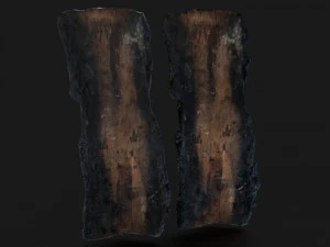 Burned wooden log 3D Model