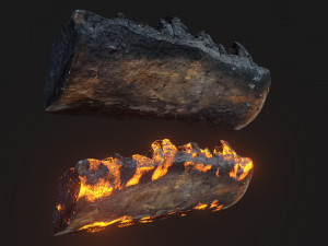 Burned wooden log 2 Modello 3D