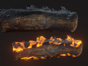 Burned wooden log 2 Modello 3D