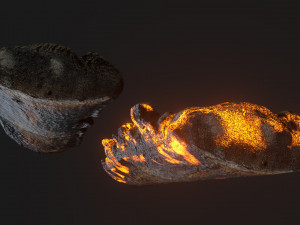 Burned wooden log 2 Modello 3D