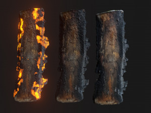 Burned wooden log 2 Modello 3D