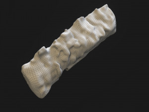 Burned wooden log 2 Modello 3D