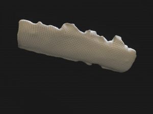 Burned wooden log 2 Modello 3D