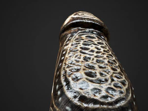 Balinese bottle opener 3D Model