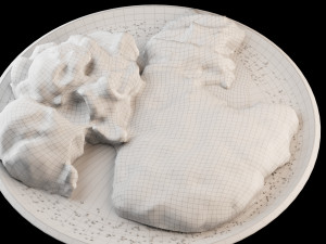 Schnitzel Model 3D