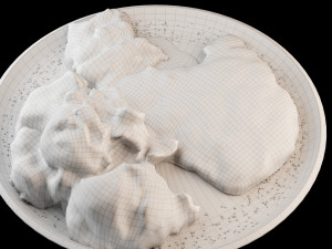 Schnitzel Model 3D