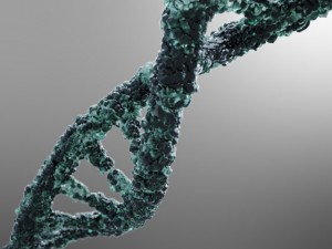 dna strand Modelo 3D