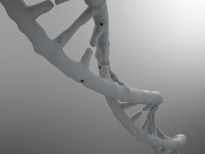 dna strand 3D-Modell