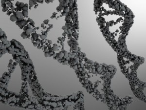 dna strand 3D-Modell