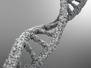 dna strand 3D-Modell
