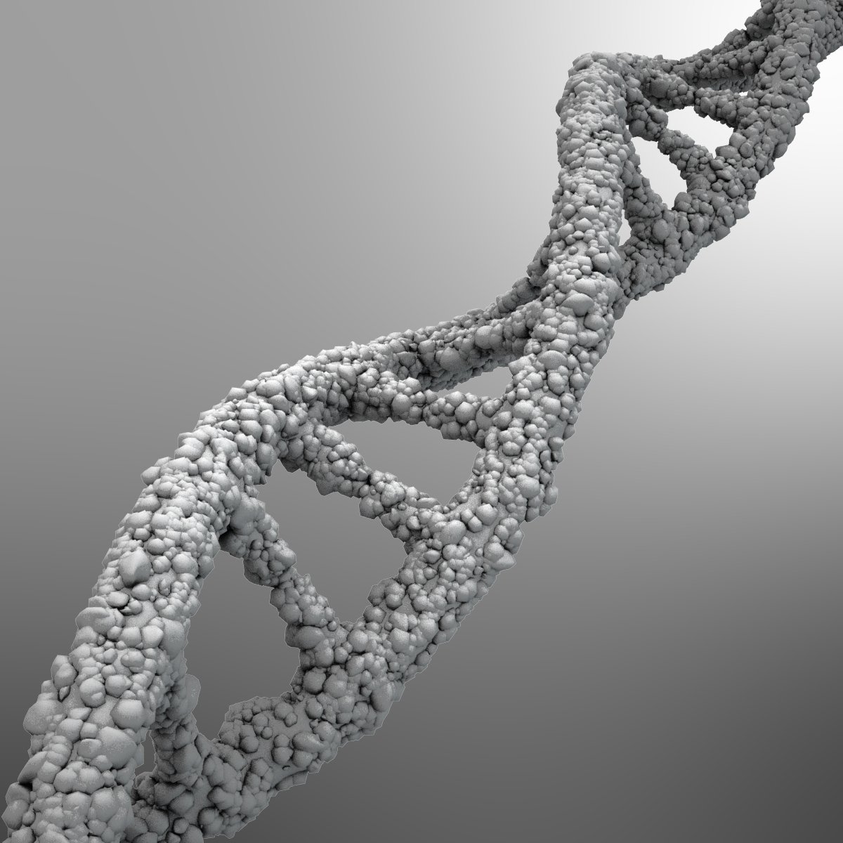 DNA strand 3D Model in Anatomy 3DExport