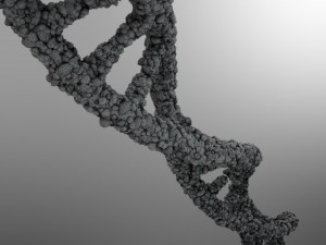 dna strand 3D-Modell