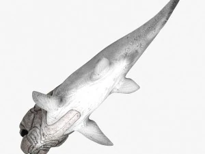 dunkleosteus 3D Model