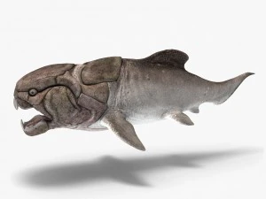 dunkleosteus 3D Model