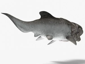 dunkleosteus 3D Model