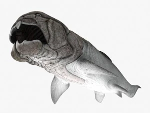 dunkleosteus 3D Model