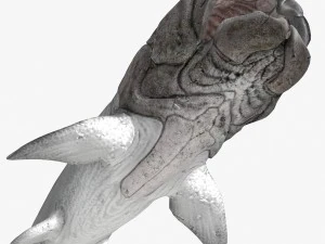 dunkleosteus 3D Model
