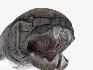 dunkleosteus 3D Model