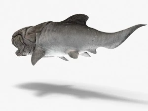 dunkleosteus 3D Model