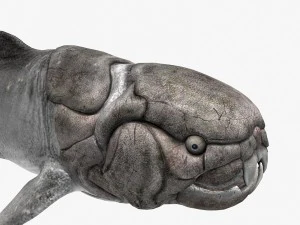 dunkleosteus 3D Model