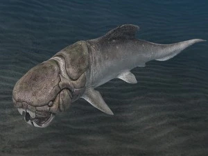 dunkleosteus 3D Model