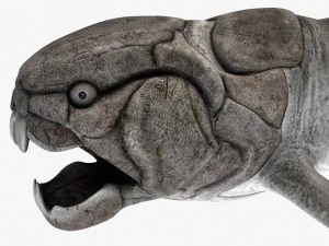 dunkleosteus 3D Model