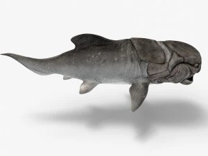 dunkleosteus 3D Model