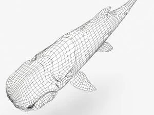 dunkleosteus 3D Model