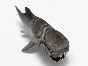 dunkleosteus 3D Model
