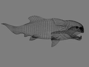 dunkleosteus 3D Model