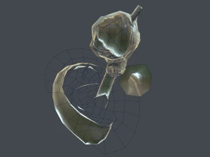 ear anatomy 3D Model