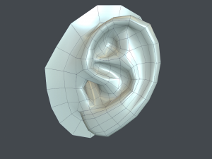 ear anatomy 3D Модель