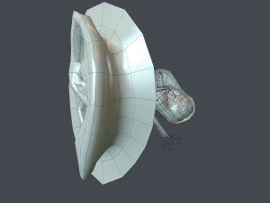 ear anatomy 3D Model