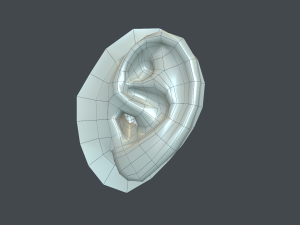 ear anatomy 3D Модель