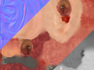 ear anatomy 3D Модель