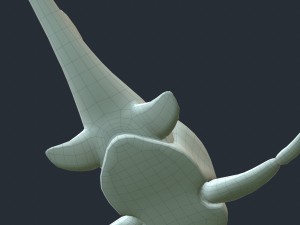 bothriolepis Model 3D