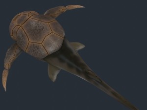bothriolepis Model 3D
