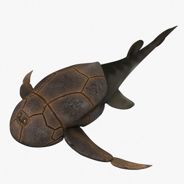 bothriolepis Model 3D .c4d .max .obj .3ds .fbx .stl .blend 