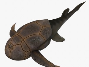 bothriolepis Modelo 3D