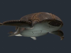 bothriolepis Model 3D