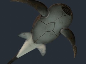 bothriolepis Model 3D