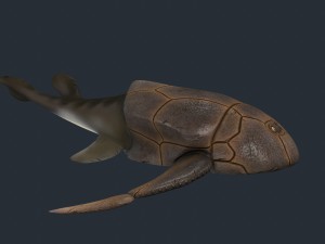bothriolepis Model 3D