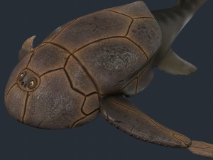 bothriolepis Model 3D