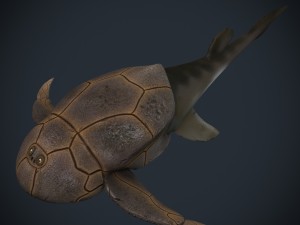 bothriolepis Model 3D