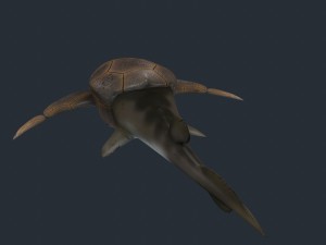 bothriolepis Model 3D